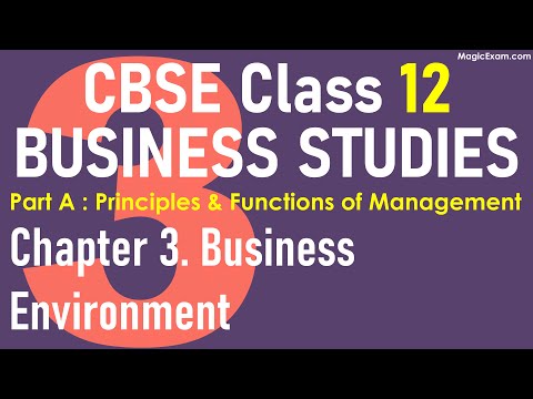 Class 12 BST Business Studies Chapter 3 - Business Environment - Lecture Revision Notes Explanation