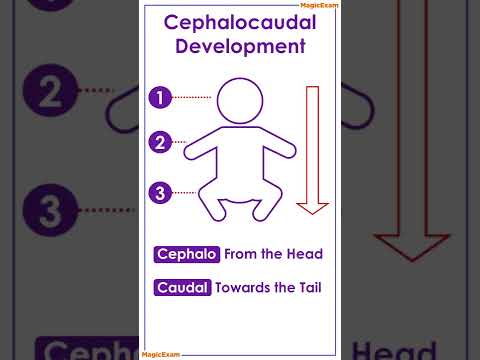 Cephalocaudal and Proximodistal development - इनमें क्या अंतर है - CTET &amp; TET CDP