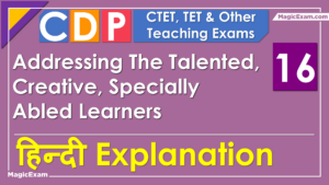Addressing The Talented Creative Specially Abled Learners CTET CDP 16 Hindi MagicExam 1